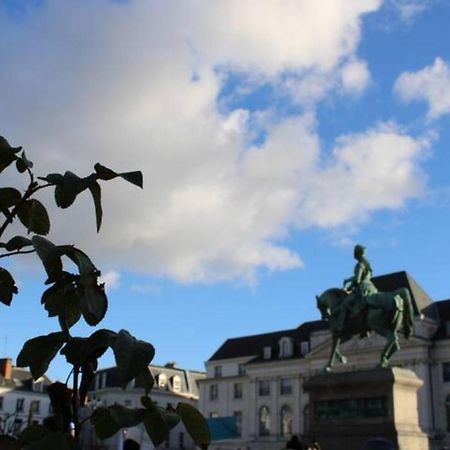 Le Scandinave, Proche Bord De Loire Orléans Eksteriør billede