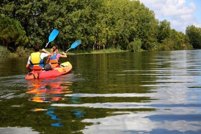 Le Scandinave, Proche Bord De Loire Orléans Eksteriør billede