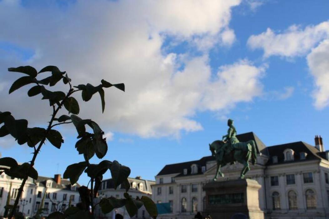 Le Scandinave, Proche Bord De Loire Orléans Eksteriør billede